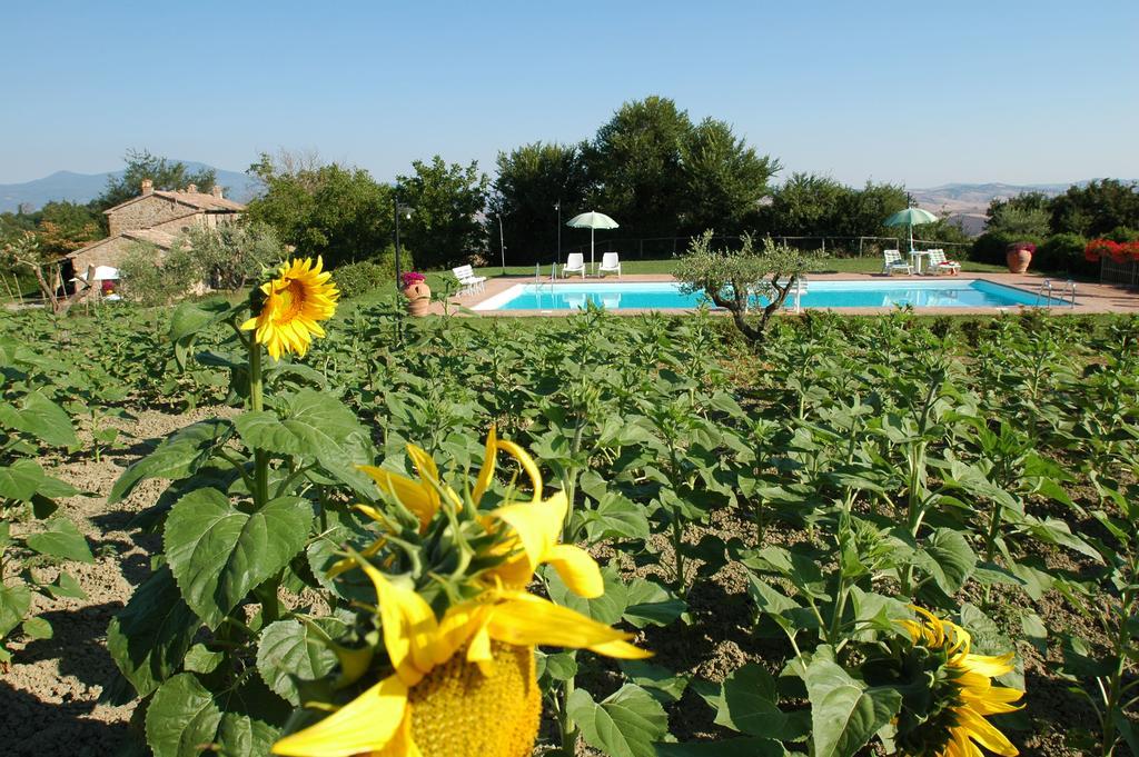 Agriturismo Poggio Porsenna - Con Piscina Proceno Exterior foto