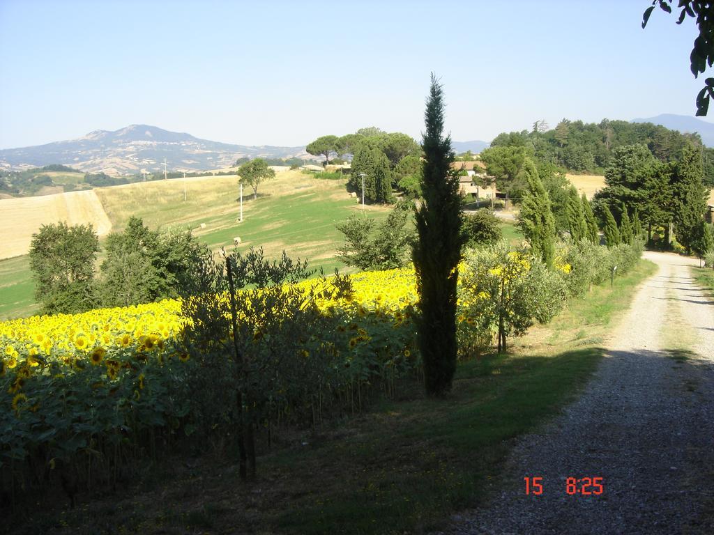 Agriturismo Poggio Porsenna - Con Piscina Proceno Exterior foto