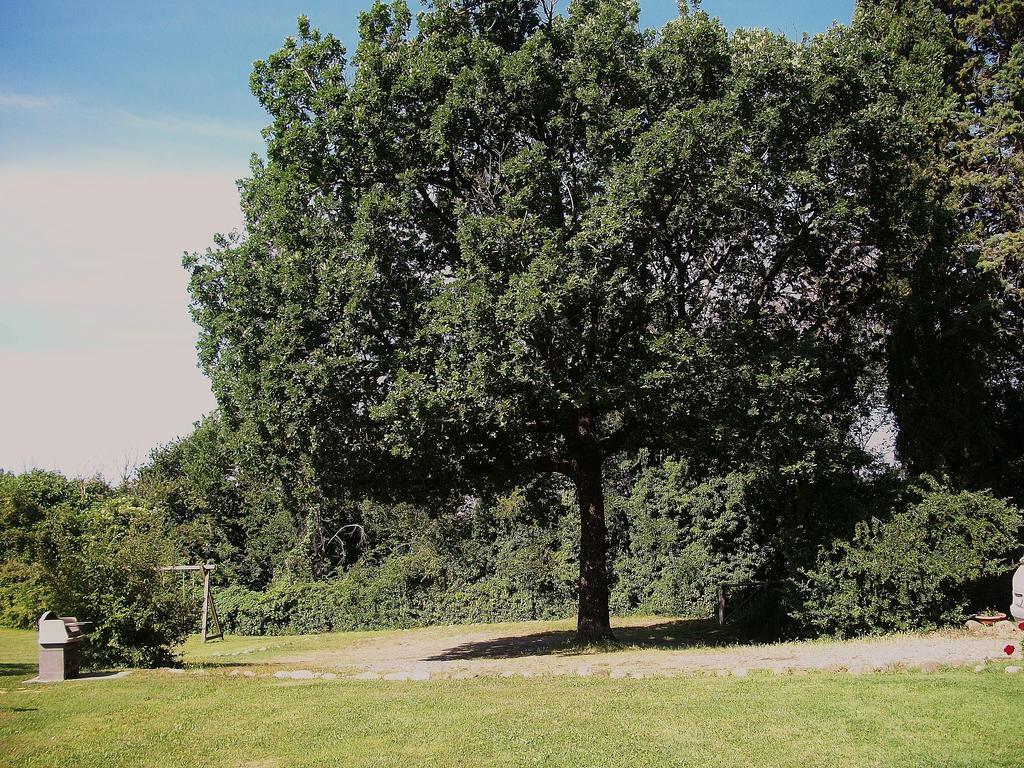 Agriturismo Poggio Porsenna - Con Piscina Proceno Exterior foto